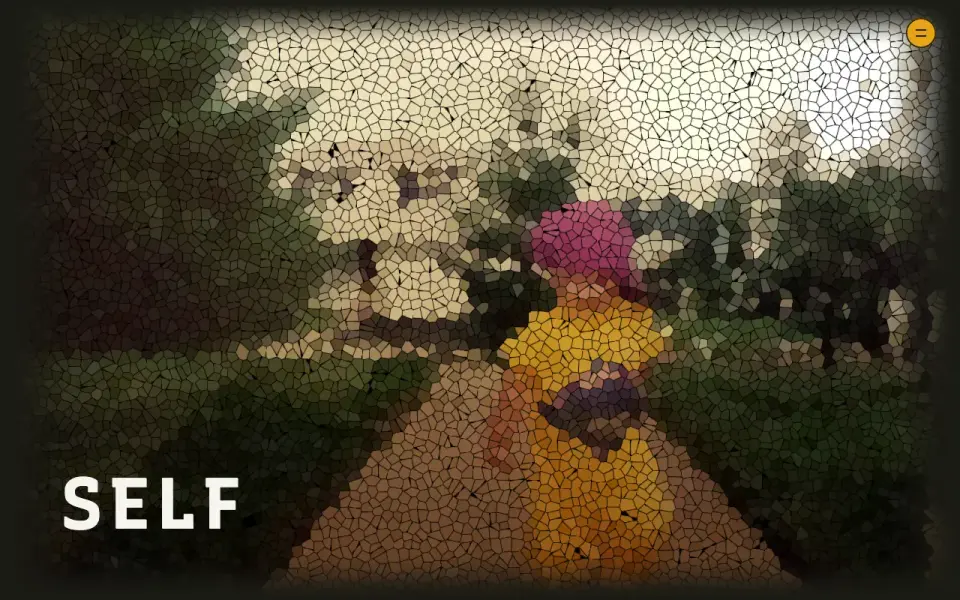 threesam.com /self page — voronoi-treated portrait and essay